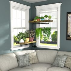 a living room filled with furniture and lots of plants on the window sills