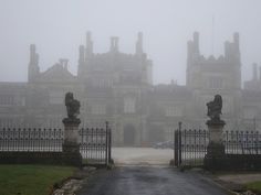 an old building with iron gates and statues on the front gate in the foggy day