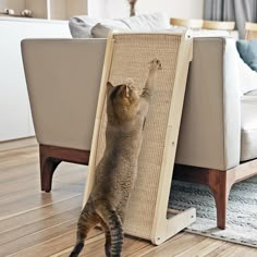 a cat standing on its hind legs in front of a scratching board that is attached to a couch