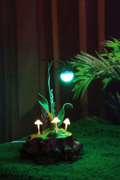 two small mushrooms are lit up in the dark green light, with moss growing around them