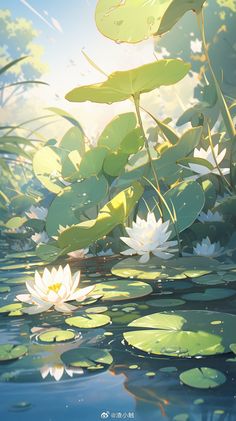 water lilies floating on top of a lake surrounded by green plants and leaves with the sun shining in the background