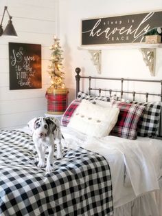 a black and white dog standing on top of a bed in a bedroom next to a christmas tree