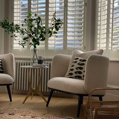 a living room with two chairs and a rug on the floor in front of windows