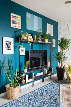 a living room with blue walls and plants on the shelves in front of the tv