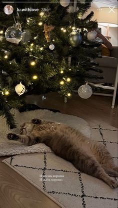 a cat laying on the floor next to a christmas tree