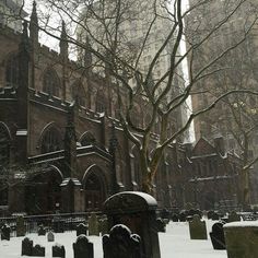 a cemetery in the middle of a snowy day with tall buildings and trees on either side