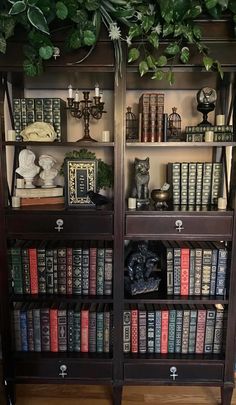 the bookshelf is filled with many different types of books and figurines