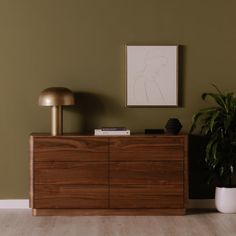 a wooden dresser sitting next to a green wall with a plant on top of it