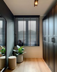 two planters sit in the middle of a room with wooden floors and black shutters