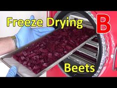 a person in blue gloves holding a tray with beets on it and the words freeze drying