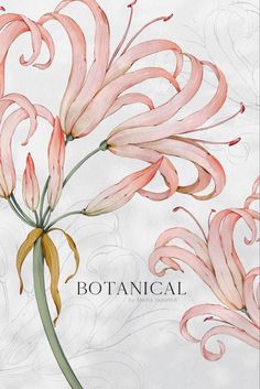 a watercolor painting of pink flowers with the word botanical on it's side