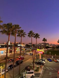 palm trees line the street in front of an intersection at night with cars driving on it