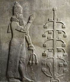 an egyptian relief depicting the tree of life