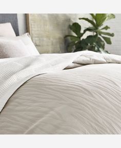 an unmade bed with white comforter and pillows on top of it, next to a potted plant