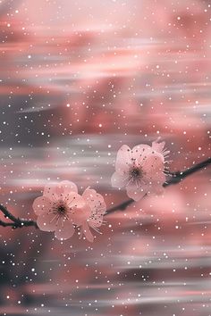 two pink flowers on a branch in front of an orange and black sky with stars