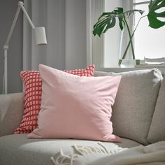 a couch with two pillows on it and a plant in the window sill behind