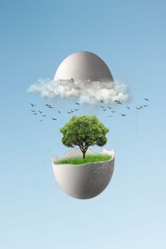 an egg with a tree in it and birds flying around