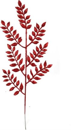 a red plant is shown on a white background and has long stems with small leaves