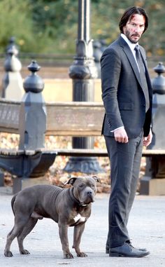 a man in a suit and tie standing next to a pitbull dog on the street