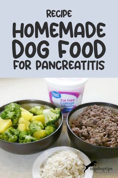 homemade dog food for pancreatis with broccoli, rice and pineapple