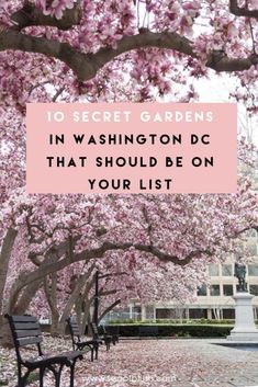 the words 10 secret gardens in washington dc that should be on your list with pink blossoms