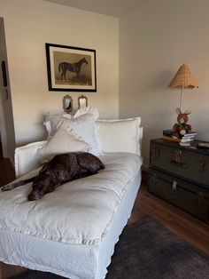 a dog laying on top of a white couch in a living room next to a lamp