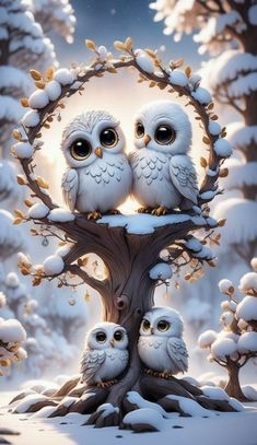 three owls sitting on top of a tree in the middle of snow covered trees,