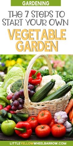 the 7 steps to start your own vegetable garden