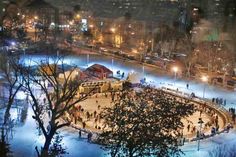 an aerial view of a park at night