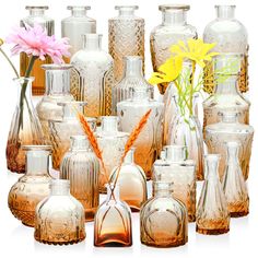 an assortment of glass vases with flowers in them on a white background, including one pink and one yellow flower