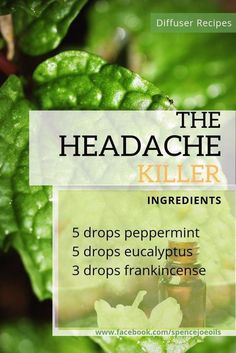 Doterra Essential Oils Recipes, Essential Oils For Headaches, Young Living Essential Oils Recipes, Essential Oils Guide