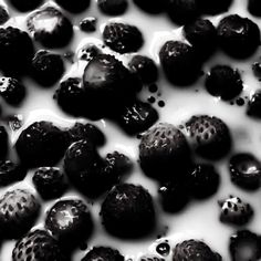 black and white photograph of strawberries in milk with splashing on it's surface