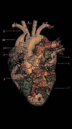 an image of the human heart on a black background