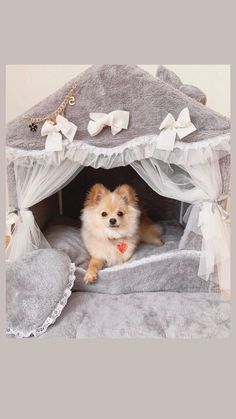 a small dog is sitting in a pet bed with bows on it's head