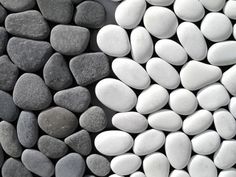 several different types of rocks are arranged in the shape of a circle, and one is black and white