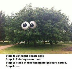 a tree with two eyes on it and the caption reads, cool beach balls painted to look like eyes give new life to trees