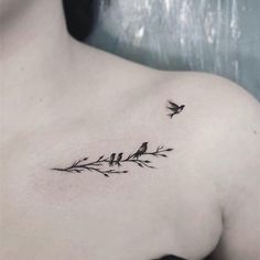 Beautiful Collar Bone Tattoos, Fine Line Bird On Branch Tattoo, Crow Collarbone Tattoo, Bird And Branch Tattoo, 4 Birds On A Branch Tattoo, Bird On A Wire Tattoo, Bird Memorial Tattoo, Flower And Bird Tattoo, Birds On A Branch Tattoo