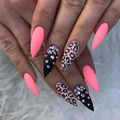 Summer Nails Colors Designs, Summer Nail Designs, Stiletto Nail Art, Black Nail, Colorful Nail Designs