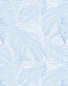 an image of a white background with leaves on the outside and light blue in the inside