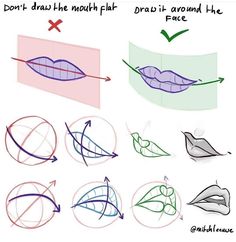 how to draw lips with different shapes and lines on the bottom half of each lip