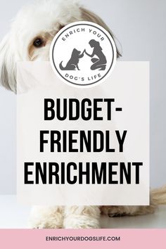 a white dog holding a sign with the words budget - friendly enrichment on it