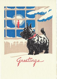 a small black dog standing in front of a window with the words guttings on it