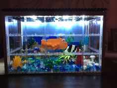 a fish tank filled with different types of marine life