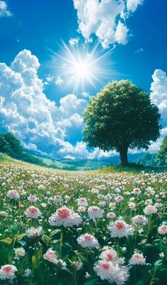 A beautiful, sunlit meadow filled with delicate white and pink flowers under a bright blue sky, with a large tree standing tall in the background. The scene radiates serenity and the warmth of a peaceful summer day. 
#sunnymeadow #floweryfield #naturevibes #calmenergy #outdoorbeauty #aiart #naturelover #landscapepainting #digitalartwork #sunshine #peacefulscenery #artinspiration #naturethroughart Meadow Pipit, Peaceful Summer, White And Pink Flowers, Bright Blue Sky, Meadow Garden, Large Tree, Natural Garden, Tree Stand