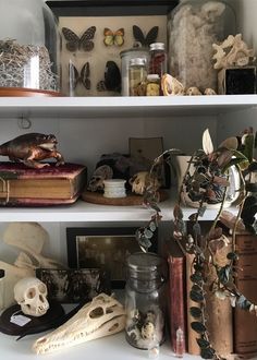 the shelves are filled with books, skulls and other items for halloween decor on display