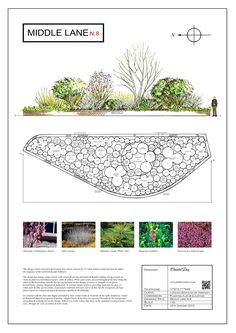 an image of the middle lane garden plan