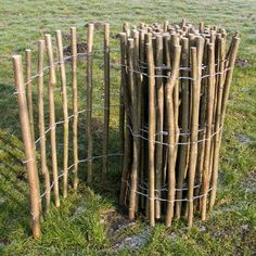 several wooden posts are in the grass behind a wire fence that is made from wood sticks