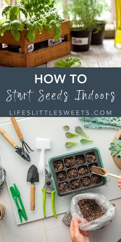 an indoor garden with plants and gardening tools on the table, including seedlings in trays