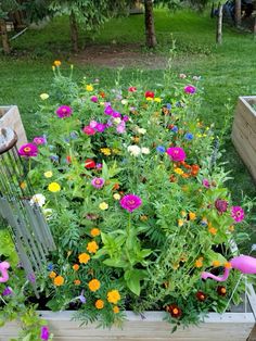 a garden filled with lots of flowers next to a wooden box full of gardening tools