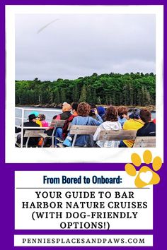 Dog friendly bar harbor nature cruise options Lobster Fishing, Make Waves, Sunset Nature, Island Tour, Acadia National Park, Training Your Puppy, Dog Travel